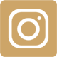 instagram-square-icon